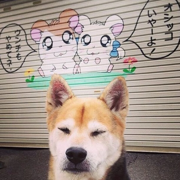 中超版本更新影响深度解读，中超新赛季升降级